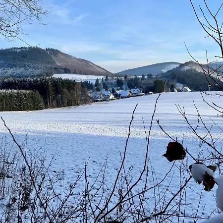 Auf Der Platte * Winterberg