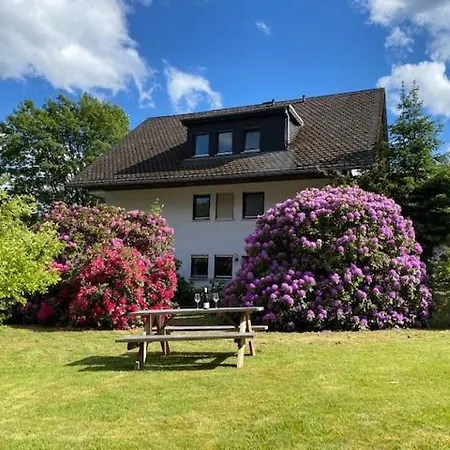 Auf Der Platte * Winterberg