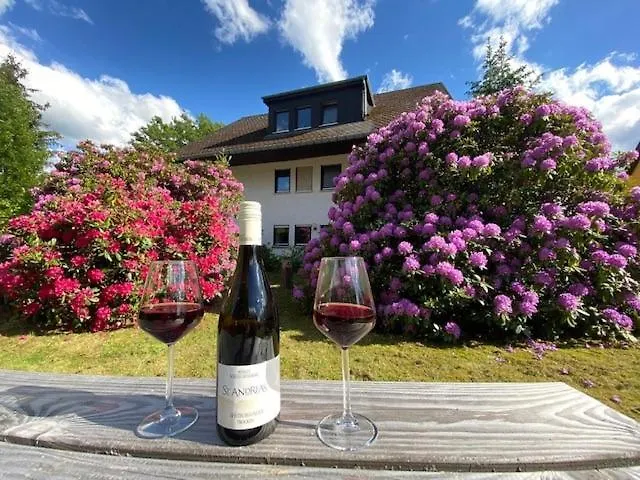 Auf Der Platte Winterberg