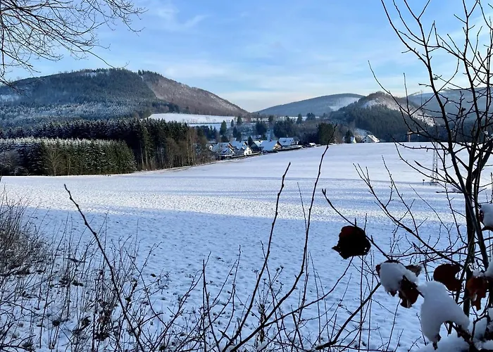 Auf Der Platte * Winterberg
