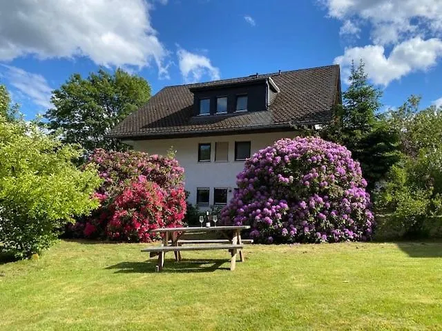 Auf Der Platte * Winterberg
